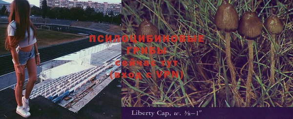 MESCALINE Ельня
