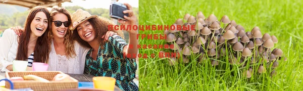MESCALINE Елизово